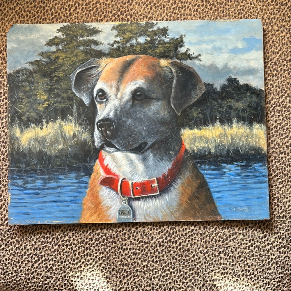 Vintage Dog Picture